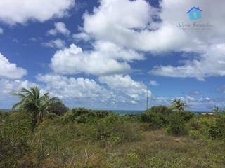 Imagem 8 de 26 de Terreno Plano Em Meio A Natureza Com Vista Para O Mar - Te0418