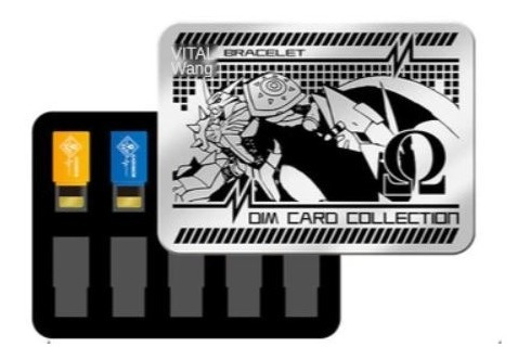 Case Almacenamiento Dim Card Digimon