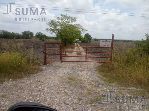 Terreno En Venta En Carretera Manuel Aldama Tamaulipas. 