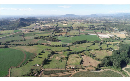 Fundo El Paso. Gran Suelo Agrícola De 128 Ha.