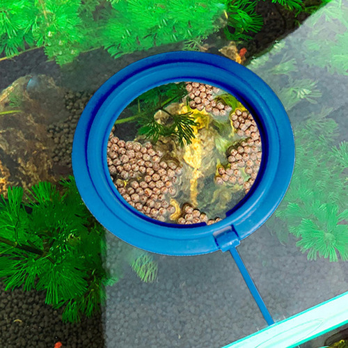 . Anillo De Alimentación De Peces Práctico Anillo Flotante