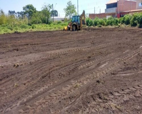 Imagem 6 de 8 de Terreno - Te-17 - 32142492