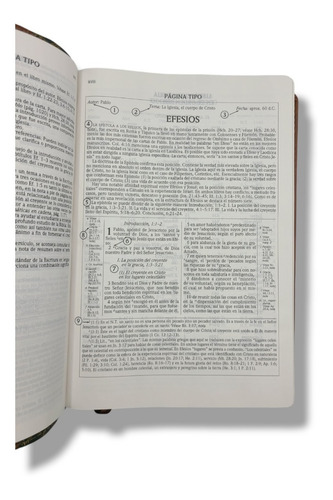 Imagen 3 de 10 de Biblia De Estudio Scofield 1960 Imit Piel Verde Con Cafe
