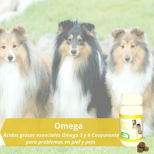 2pack Omega 3 Y 6 Perro Ruiland Piel Y Pelo (120tab) Protei