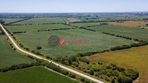 Venta Terreno / Lote Zárate