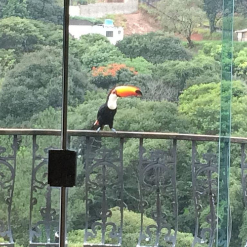 Chácara - Monterrey - Ch0134