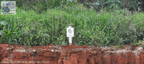 Imagem 8 de 10 de Terreno Para Venda Em Tuiuti, Centro - 1261_2-1351217