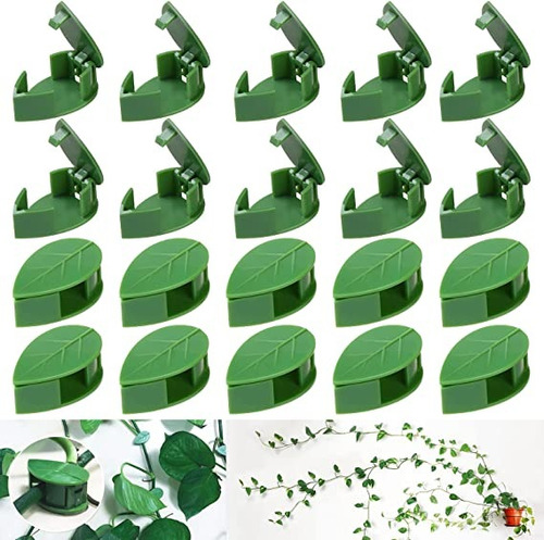 30 Pcs Clips De Fijación De Pared De Escalada Para Plantas