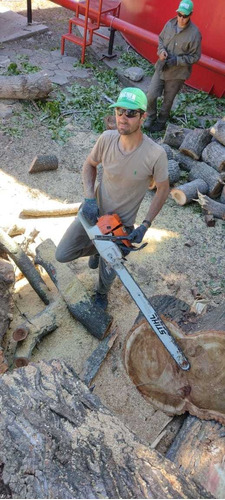 Imagen 1 de 5 de Poda De Arboles, Poda En Altura. Extracciones De Arboles.
