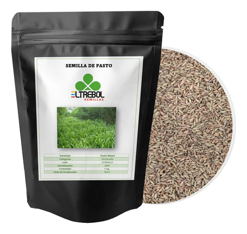 Semilla De Pasto Forrajero Var. Maxci (1 Kg)