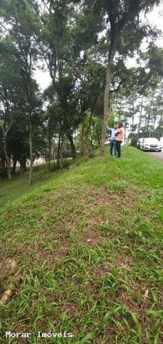 Imagem 2 de 7 de Terreno - Te00007 - 67693248