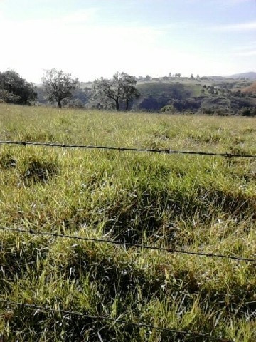 Imagem 4 de 4 de Venda - Área Caputera / Sorocaba/sp - 3801