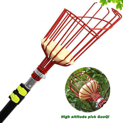 Imagen 6 de 9 de Cesta Recolectora De Fruta De Arándanos Y Naranja