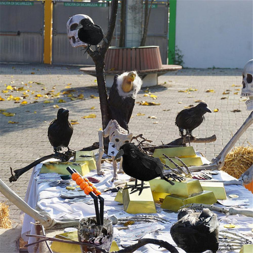 Pequeña Simulación Realista Decoración Modelo Cuervo Negro