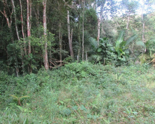 Imagem 14 de 21 de Terreno - 04611 - 33229241