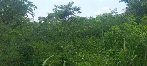 Venta 2 Lotes De 486 M² Col. Circulo Michoacano Poza Rica Ver