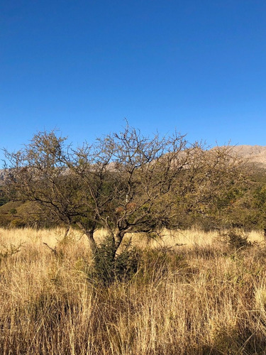 Imagen 6 de 13 de Lote En Barrio Los Olivares De Los Hornillos / Traslasierra Con Escritura