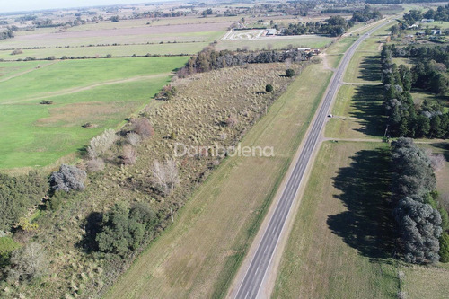 Imagen 7 de 9 de Terreno En Venta O Permuta Ubicado En Zárate, Pilar Y Alrededores