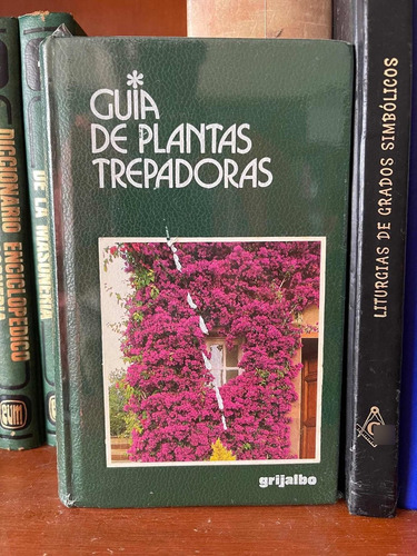 Guía De Plantas Trepadoras Francesca Consolino Pasta Dura (Usado)
