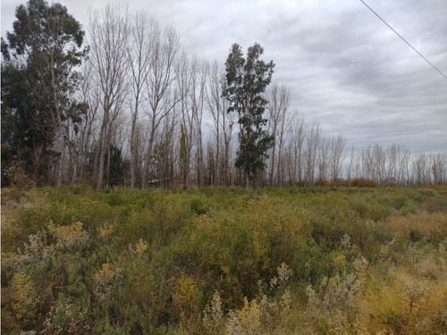 Vendo Finca Monte Coman