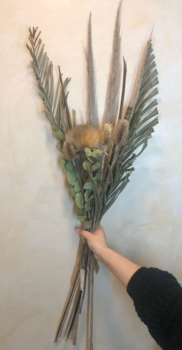 Ramos De Cardos, Flor De Cardo, Pampa Grass, Etc Grande