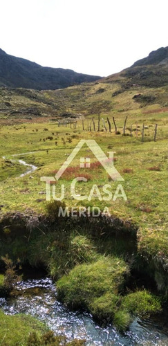 Finca Agrícola Gavidia - Mucuchies