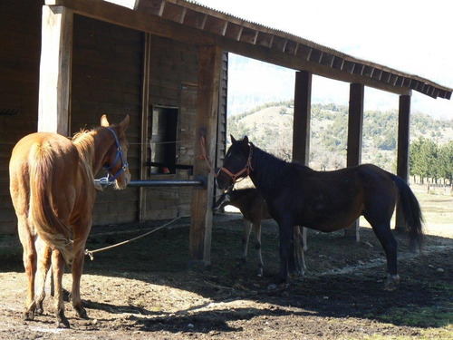 Imagen 15 de 19 de Departamento 2 Amb - Club De Campo Estancia Los Ñires - San Martín De Los Andes