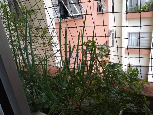 Imagem 18 de 20 de Ref 10.623 Apartamento No Bairro Vila Ipojuca Com 3 Dorms Sendo 1 Suíte Com Closet, 2 Vagas, 105 M² Varanda. Área De Lazer Aceita Permuta - 10623