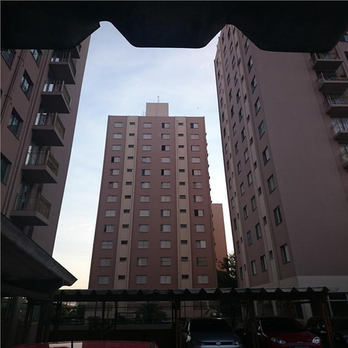 Imagem 1 de 14 de Apartamento À Venda, Cangaíba, São Paulo. - Ap0816