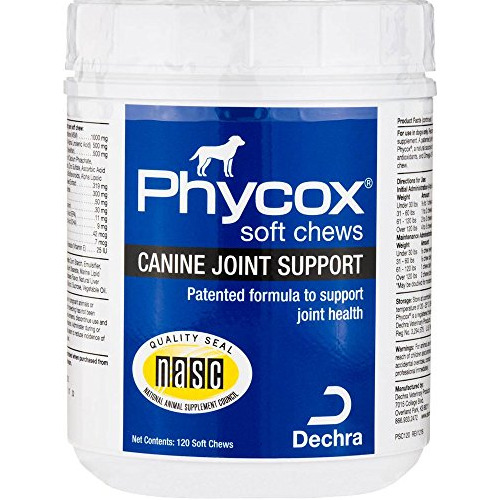 Phycox Una Articulación Canina Soporte Cerdas Suaves, 74gev