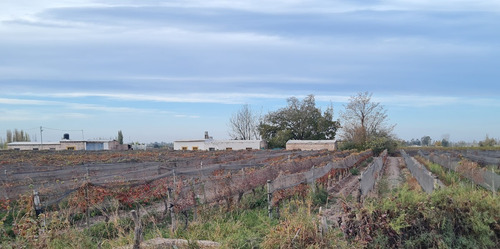 Imagen 2 de 27 de Finca Disponible En Fracciones Ideal Para Galpones O Loteo