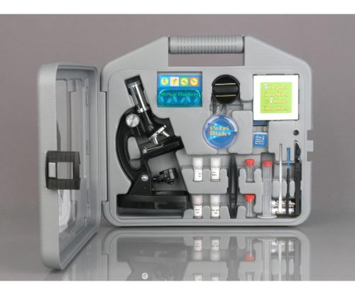 Amscope 120x-1200x Kit Stem De Microscopio Para Principiante