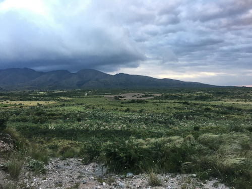 Terreno En Venta En El Morro San Luis 5 Hectáreas