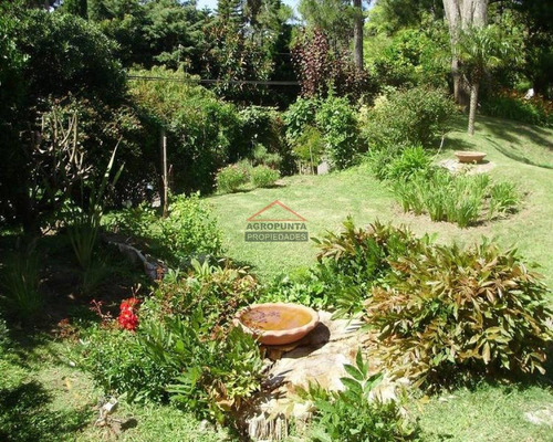Casa Venta Alquiler Mansa Punta Del Este- Ref: 5518