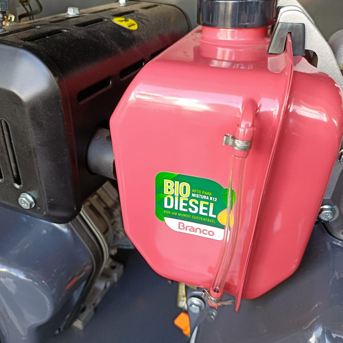Motor Diesel Bd13.0 13cv Com Partida Eletrica Branco Motores