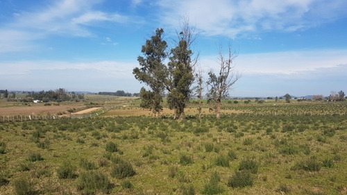 Venta Chacra En Las Vertientes - Ref: 1196