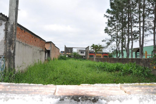 Terreno - 0420 - 32622595