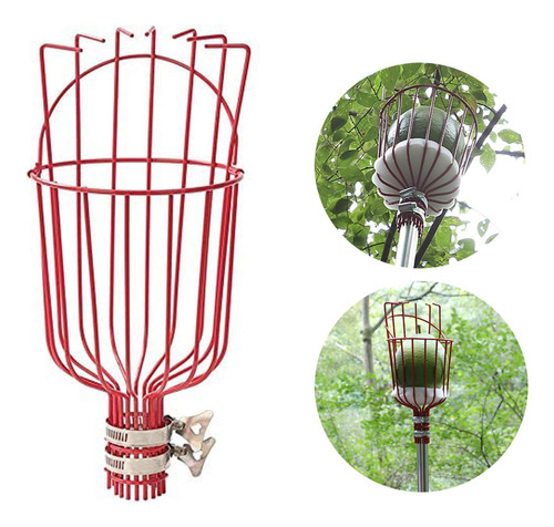 El Diig Fruit Picker Es Ideal Para Recoger Limones, Manzanas