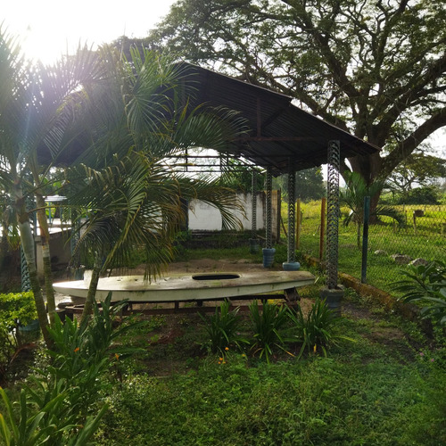 Vc Vende Terreno 10,3 Hectáreas Cocorote San Felipe Yaracuy