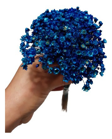 Flor Seca Sempre Viva Azul 25 Cm | Parcelamento sem juros