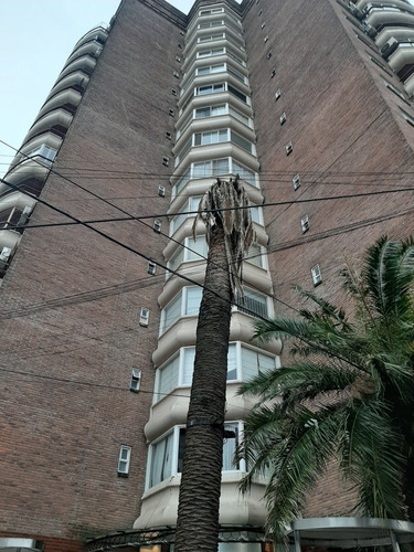 Imagen 2 de 14 de Departamento 4 Ambientes Con Cochera. Barcelona 2.