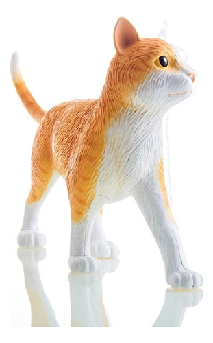 Kit De Modelo De Anatomía De Gato Atigrado De Visión 4d Nara