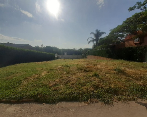 Imagem 1 de 14 de Terreno - Te00022 - 69308310