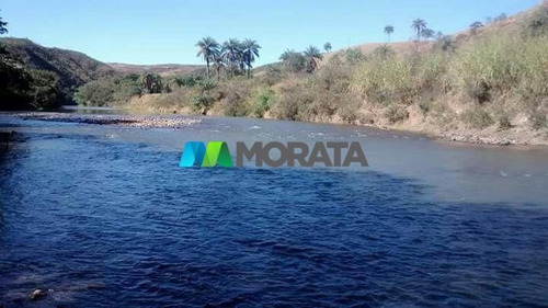 Imagem 3 de 15 de Fazenda - Zona Rural - Ref: 5151 - V-mta5151