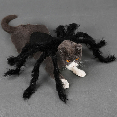 T Disfraz De Araña Para Mascotas De Halloween Para Perro