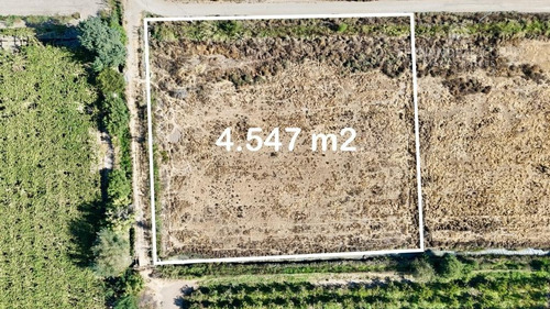 San Felipe - Vende Terreno 4.547m2 - Bucalemu