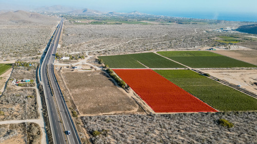 Todos Santos Highway 19, Palcel Huertas Paradero