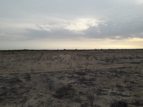 Imagen 4 de 14 de Terreno Para Uso Agricola
