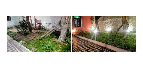 Imagen 6 de 10 de Jardinería - Paisajismo - Mantenim. En Edificios Y Empresas