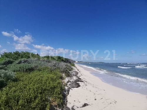 Oportunidad!!se Vende Terreno Frente Al Mar Mahahual-rio Indio P1200